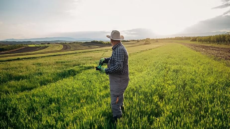 Agrosilviculture.jpeg