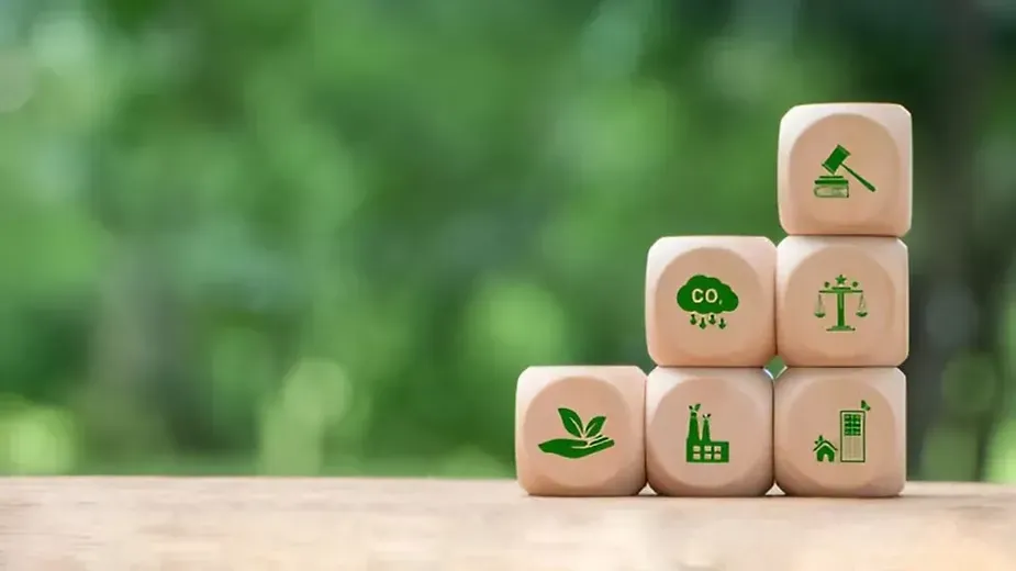 Importance of Sustainable Agriculture.webp