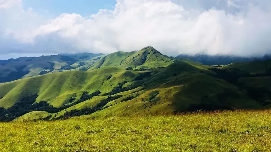 Jenukal Gudda.webp