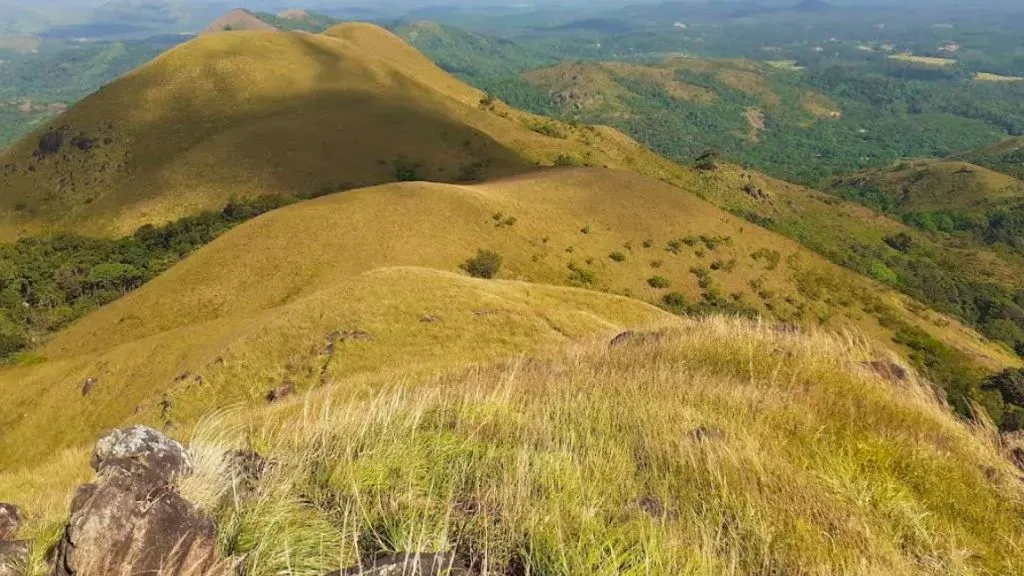 Jenukal Gudda Trek .webp