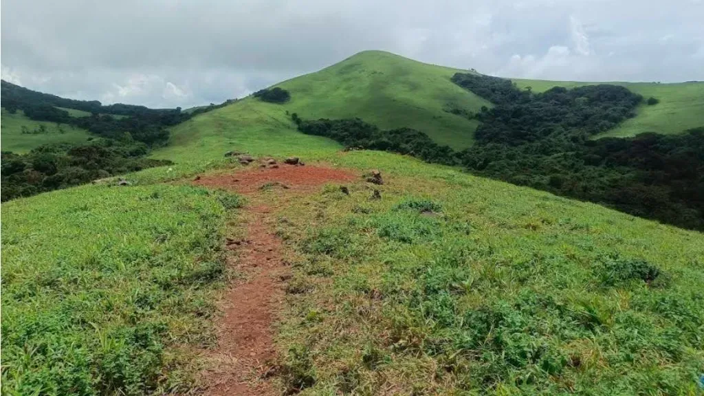 Kote Betta Trek .webp