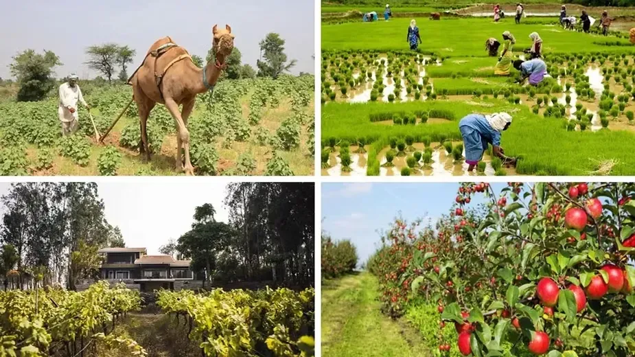 Popular Agritourism Activities in India.webp