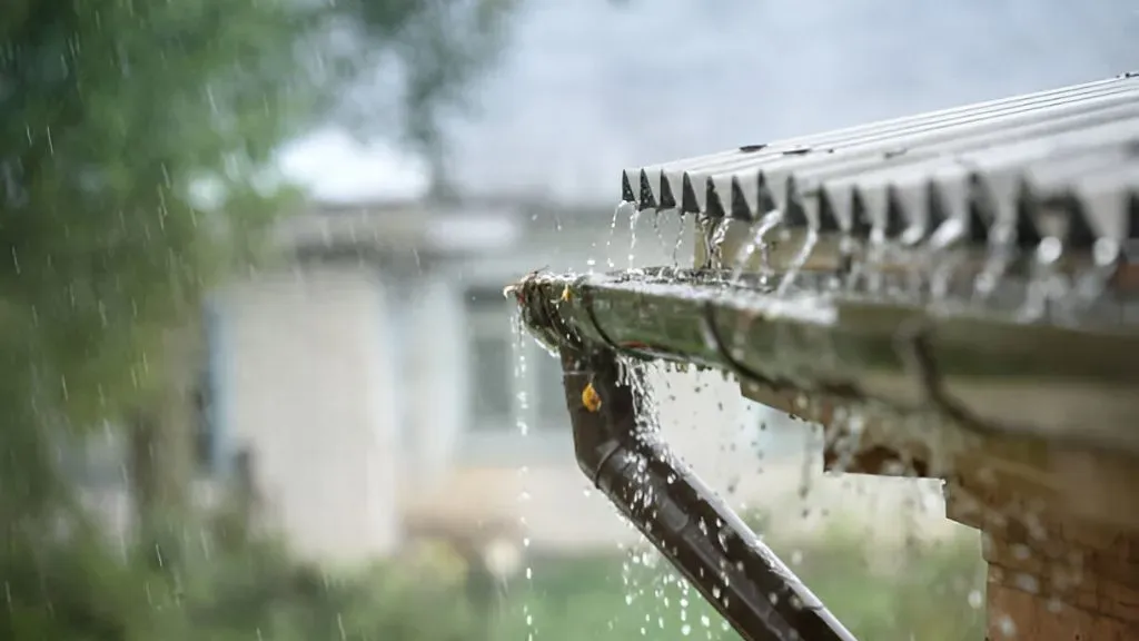 Rainwater Harvesting for Home.webp