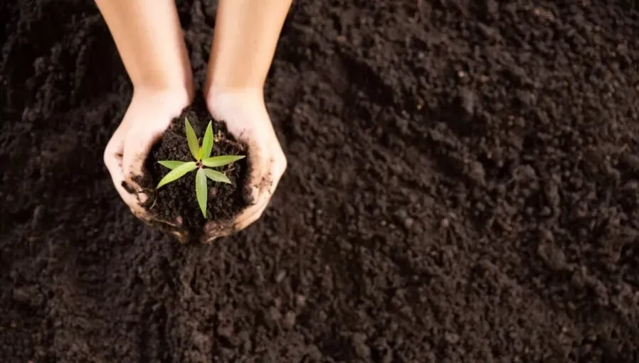Soil Quality.webp