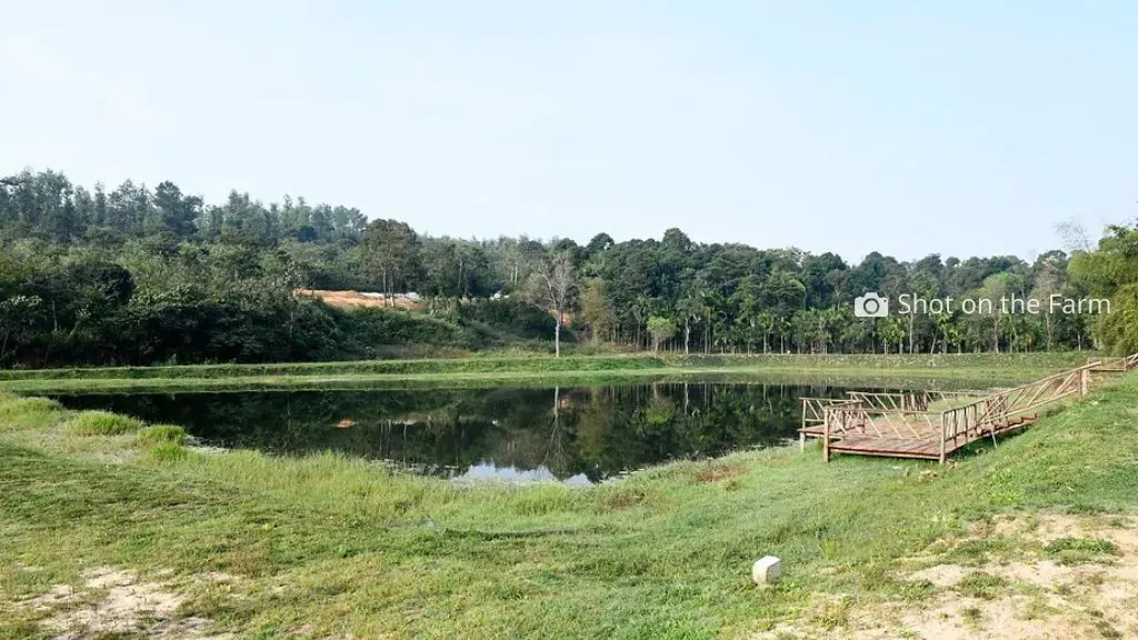 Swasya Living  Man Made Lakes.webp