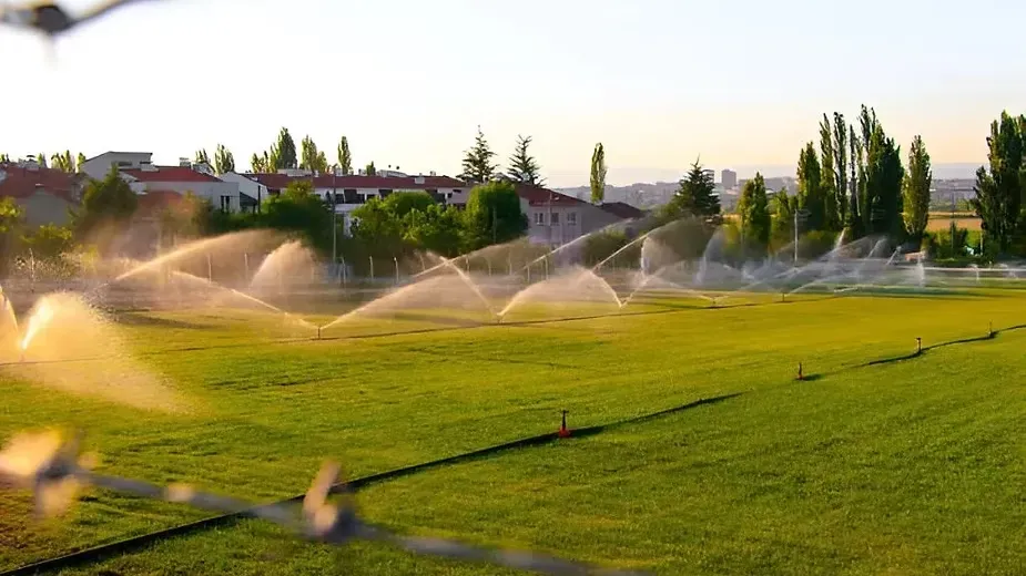 Turf Management - Types of Horticulture Crops.webp