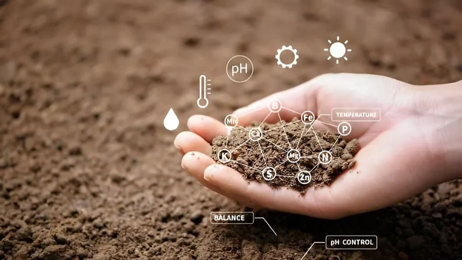 Why Does Soil Quality Matter.jpeg