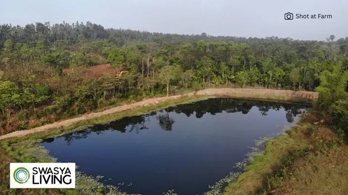 how to reduce global warming.webp