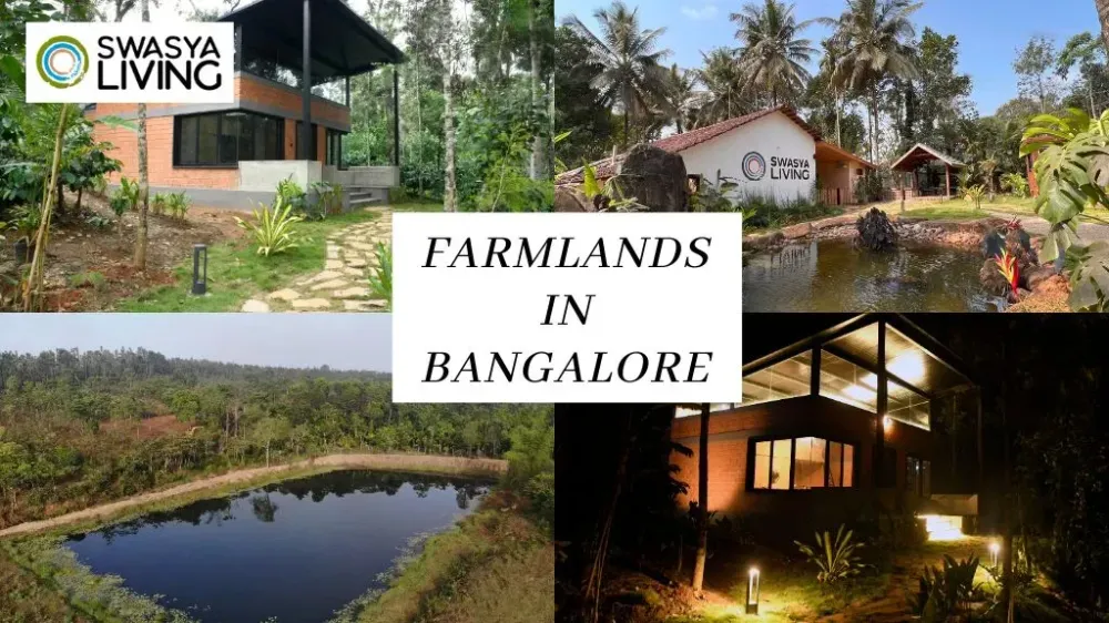 Green Escapes Near the Concrete Jungle: The 5 Best Farmlands in Bangalore