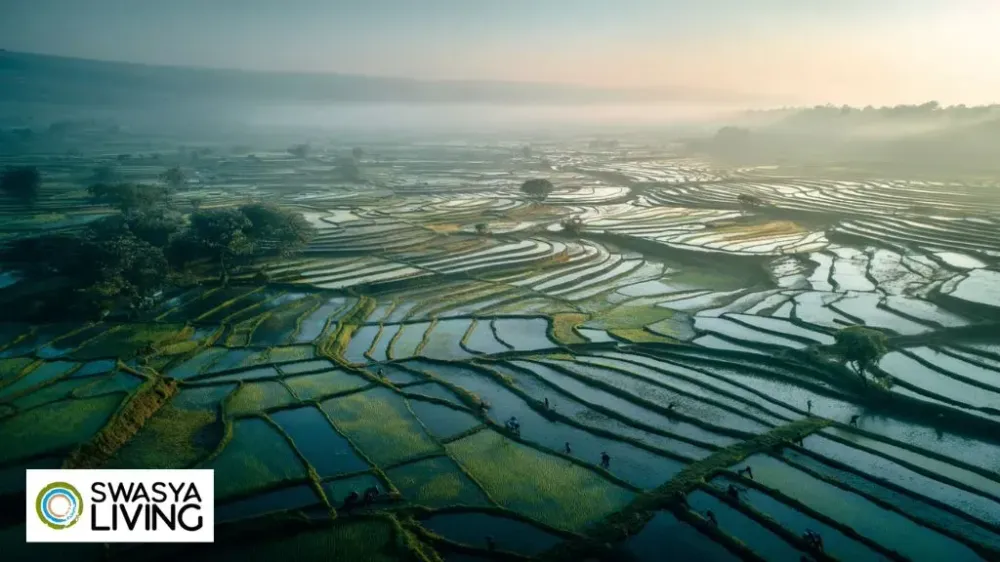 What Is Commercial Farming? Types, Advantages & Challenges