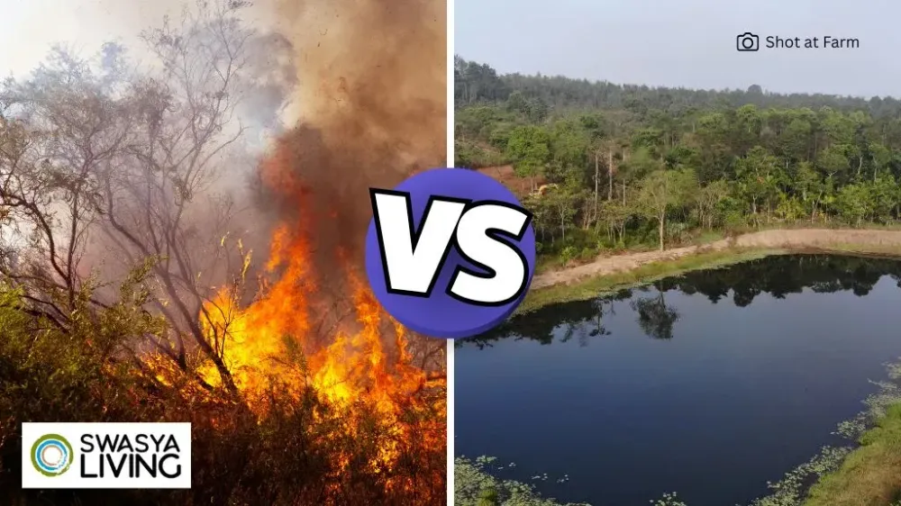 How Can We Stop Global Warming? A Wake-Up Call with Solutions