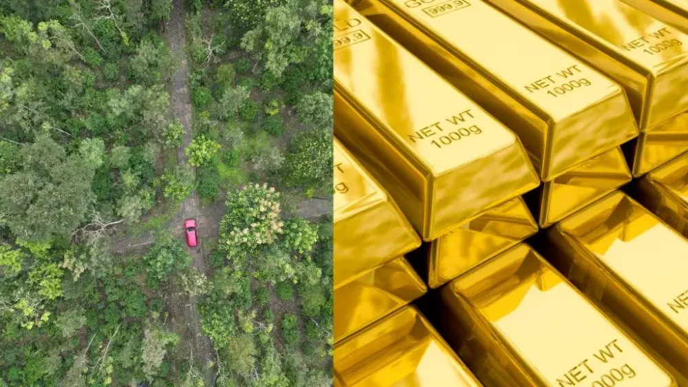 Land vs. Gold Investment in India: Why the Earth Beneath Your Feet is a Golden Opportunity