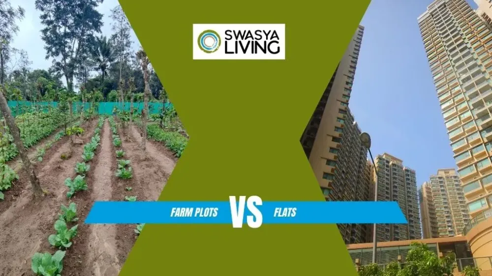 Plot vs Flat: The Ultimate Real Estate Face-Off You Didn't Know You Needed!