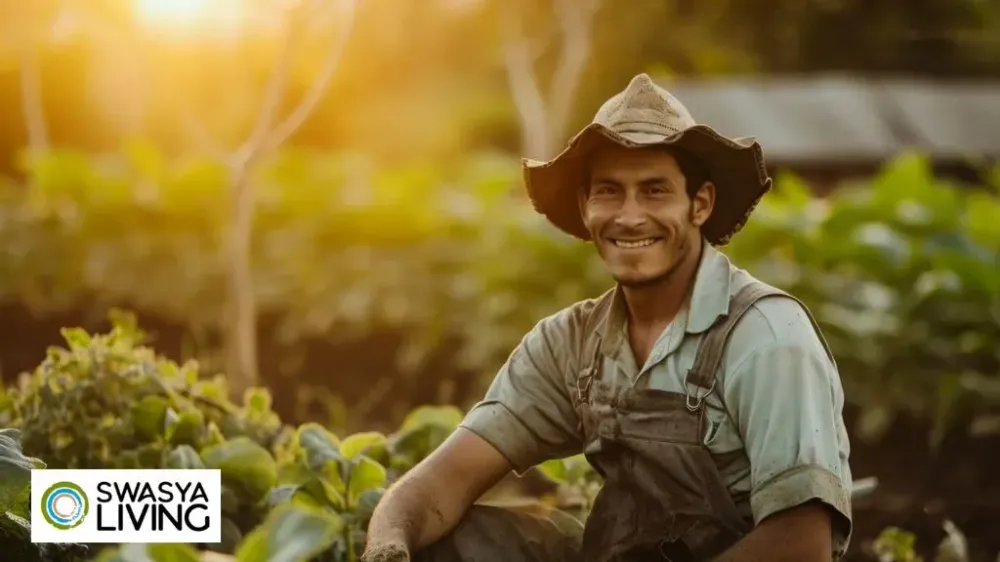 Successful Farming Tips for Better Yields in India