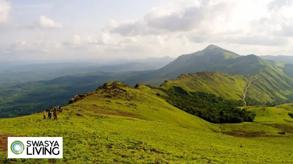 Exploring the Top 10 Trekking Places in Sakleshpur for Nature Enthusiasts