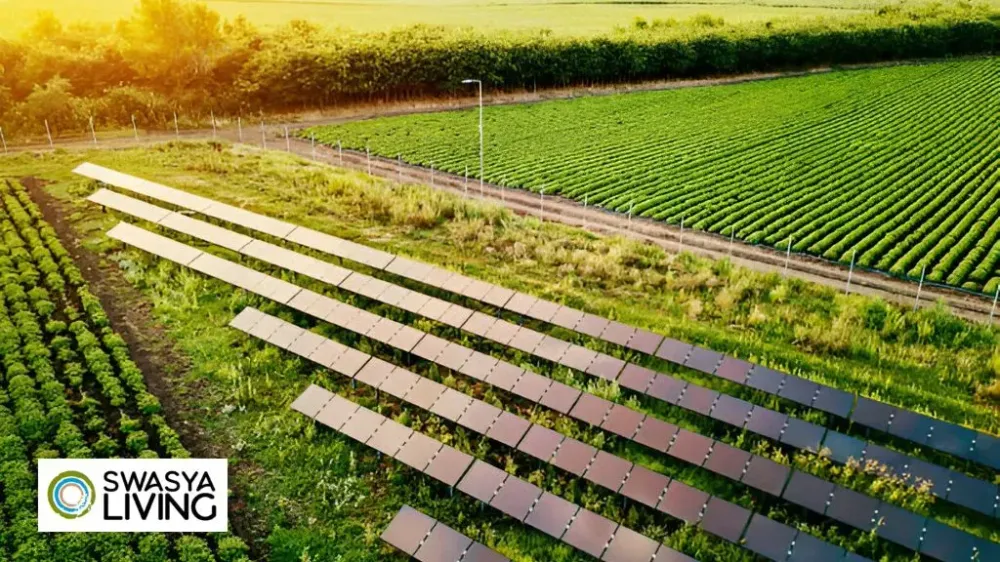 Farmland Development: Turning Empty Fields into Thriving Opportunities