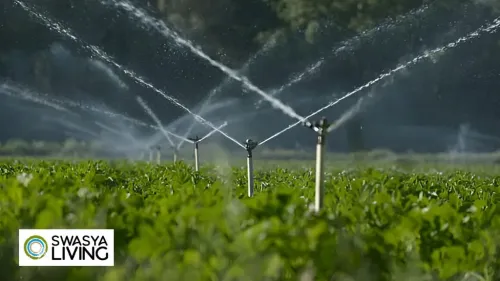 The Benefits of Drip Irrigation: Watering Your Plants the Smart Way!