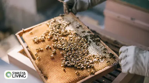 Buzz-Worthy Techniques: Exploring the Best Methods of Beekeeping