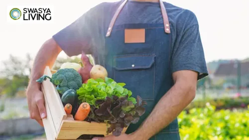 Best Organic Food Distributors in Bangalore– Healthy Picks for 2025