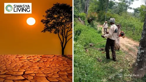 Climate Change in India: Why Owning Farmland Might Just Be the Greenest Investment Yet