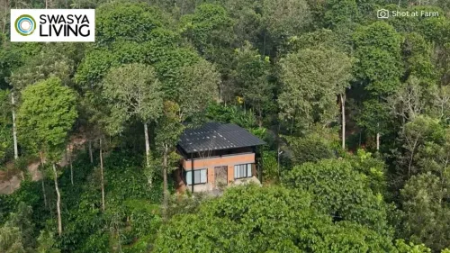 Cost to Lease Farmland in India (2025): Key Factors, Rates & Smart Tips