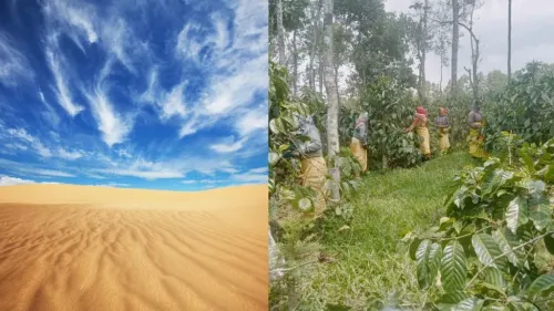 From Barren to Bountiful: The Bold Science of Converting Desert to Farmland