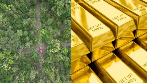 Land vs. Gold Investment in India: Why the Earth Beneath Your Feet is a Golden Opportunity