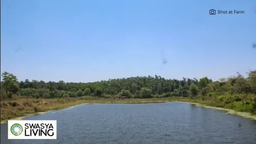 Man-Made Lakes: Engineering Wonders That Bring Nature to Life