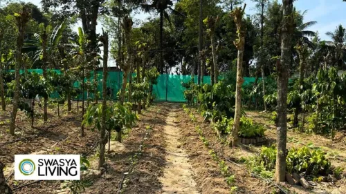 Maximize Capital Gain on Sale of Agricultural Land