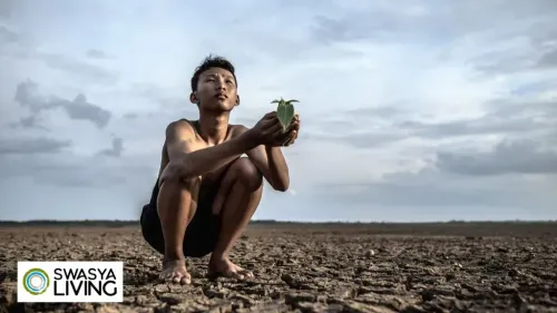 Problems of Indian Agriculture: The Challenges Farmers Face Today (and Why It’s No Walk in the Park)