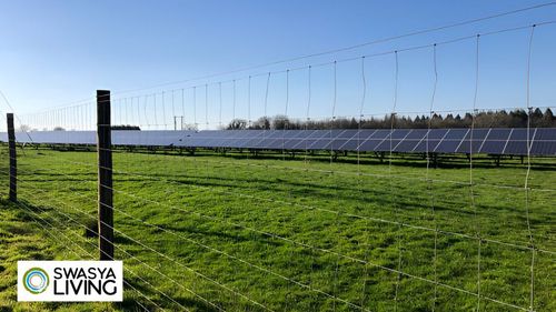 Solar Fencing: The Smart Way to Protect Your Property