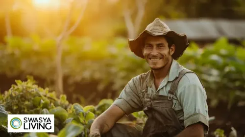 Successful Farming Tips for Better Yields in India