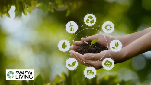 10 Simple Sustainable Lifestyle Tips to Reduce Your Carbon Footprint