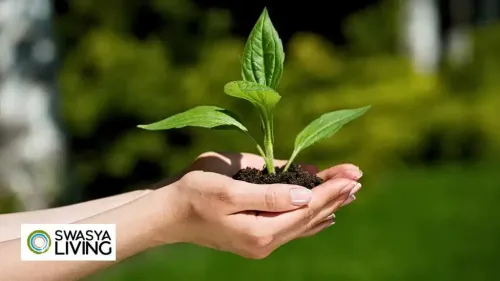 The Importance of Agriculture: The Backbone of India's Progress and Global Relevance