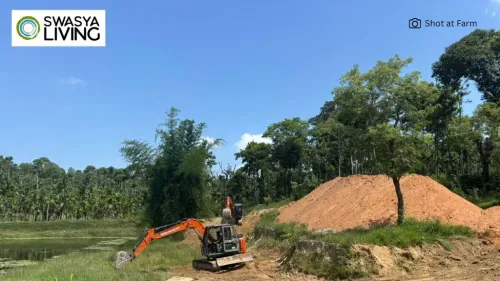 Dig Deep, Grow Strong: The Power of Farmland Soil Testing