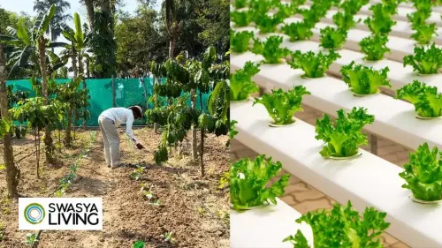 Understanding the Difference Between Traditional and Modern Farming 