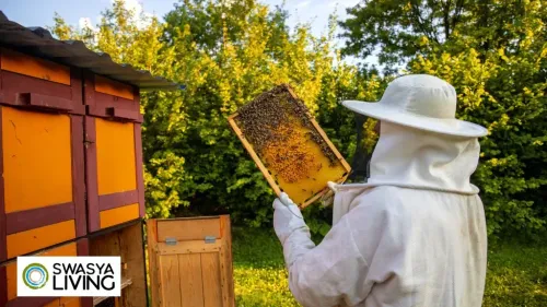 The Sweet Buzz: Understanding the Importance of Beekeeping