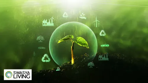 What is the Green Economy? Definition, Importance & Benefits