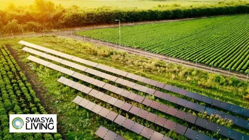 Farmland Development: Turning Empty Fields into Thriving Opportunities